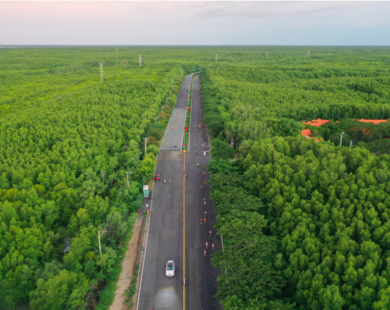 Vingroup: Cần kết hợp đầu tư metro với cầu Cần Giờ để giảm chi phí