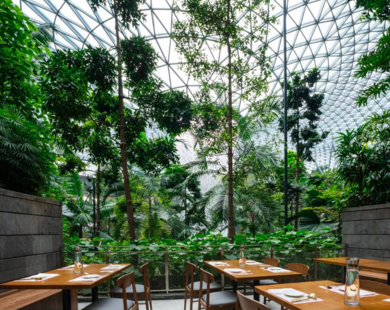 “Gwangjang GAON” Câu chuyện ẩm thực Hàn Quốc khởi nguồn từ Singapore và vươn ra thế giới