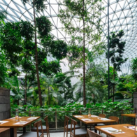 “Gwangjang GAON” Câu chuyện ẩm thực Hàn Quốc khởi nguồn từ Singapore và vươn ra thế giới